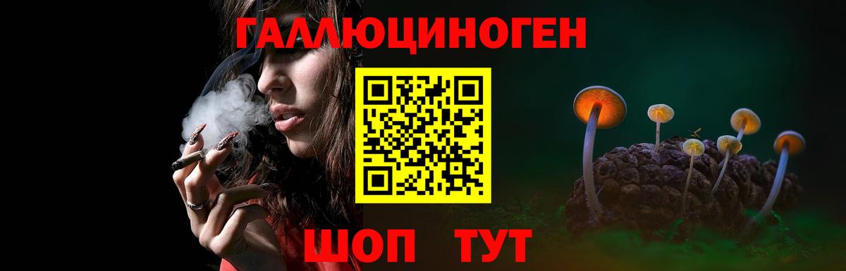 Псилоцибиновые грибы MAGIC MUSHROOMS  Вход с VPN  Барнаул 